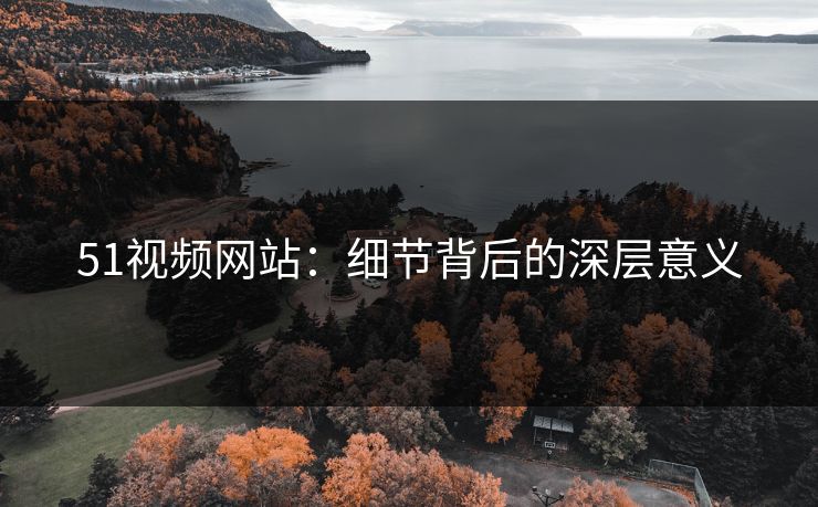 51视频网站：细节背后的深层意义