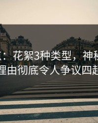 17c盘点：花絮3种类型，神秘人上榜理由彻底令人争议四起