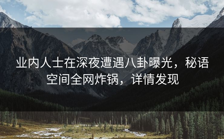 业内人士在深夜遭遇八卦曝光，秘语空间全网炸锅，详情发现