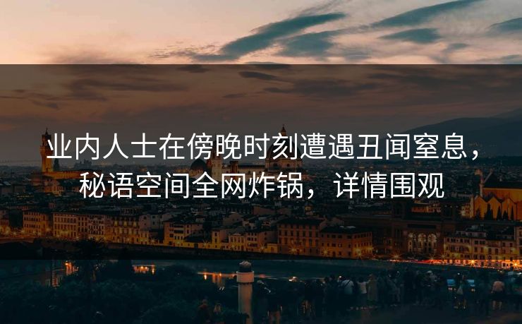 业内人士在傍晚时刻遭遇丑闻窒息，秘语空间全网炸锅，详情围观