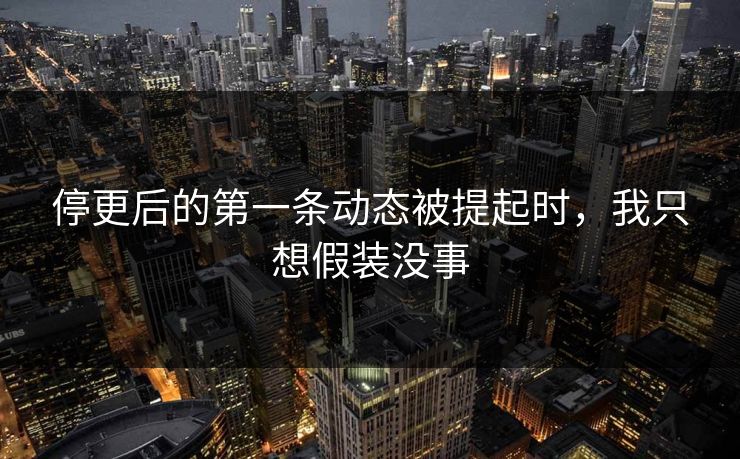 停更后的第一条动态被提起时，我只想假装没事